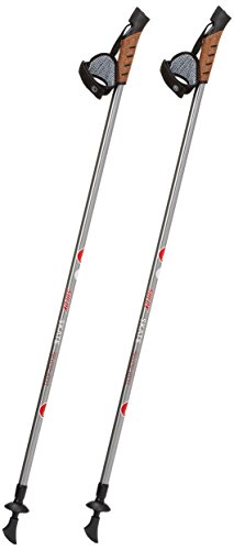 SULOV Erwachsene Trekkingstöcke Skate Skating Stöcke, Silber, 105-180cm SULOV Erwachsene Trekkingstöcke Skate Skating Stöcke, Silber, 105-180cm von SULOV