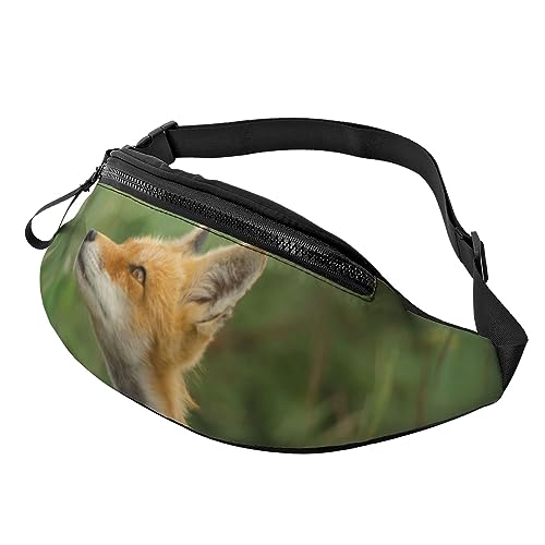 Ladybug Bauchtasche für Bauchtasche mit Kopfhöreranschluss und Taschen, verstellbarer Gürtel für Outdoor, Workout, Wandern, Niedlicher Fuchs, Einheitsgröße Ladybug Bauchtasche für Bauchtasche mit Kopfhöreranschluss und Taschen, verstellbarer Gürtel für Outdoor, Workout, Wandern, Niedlicher Fuchs, Einheitsgröße von SYLALE