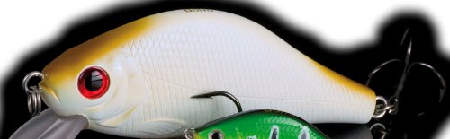 Saeger Unisex – Erwachsene 10C4039507138424C10 Doiy-Wobbler Yuragu 52 Hiratai Farbe GH, Bunt, Normal Saeger Unisex – Erwachsene 10C4039507138424C10 Doiy-Wobbler Yuragu 52 Hiratai Farbe GH, Bunt, Normal von Sensitec