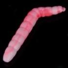 Sänger Iron Trout Baco 4cm Schwimmend White Red 6er Forellenköder Sänger Iron Trout Baco 4cm Schwimmend White Red 6er Forellenköder von Sensitec