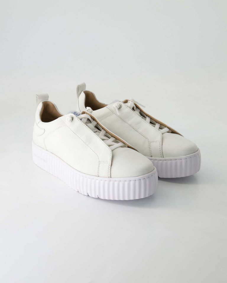 Salamander Ulmen Sneaker Salamander Ulmen Sneaker von Salamander