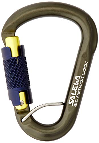 SALEWA BELAY TWIST LOCK karabiner Bivibag Storm I, Magnet, UNI von Salewa