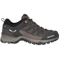 Salewa Damen MTN Trainer Lite GTX Schuhe Salewa Damen MTN Trainer Lite GTX Schuhe von Salewa