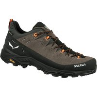 Salewa Herren Alp Trainer 2 GTX Schuhe Salewa Herren Alp Trainer 2 GTX Schuhe von Salewa