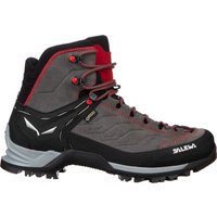 Salewa MTN Trainer Mid GTX Schuhe Salewa MTN Trainer Mid GTX Schuhe von Salewa