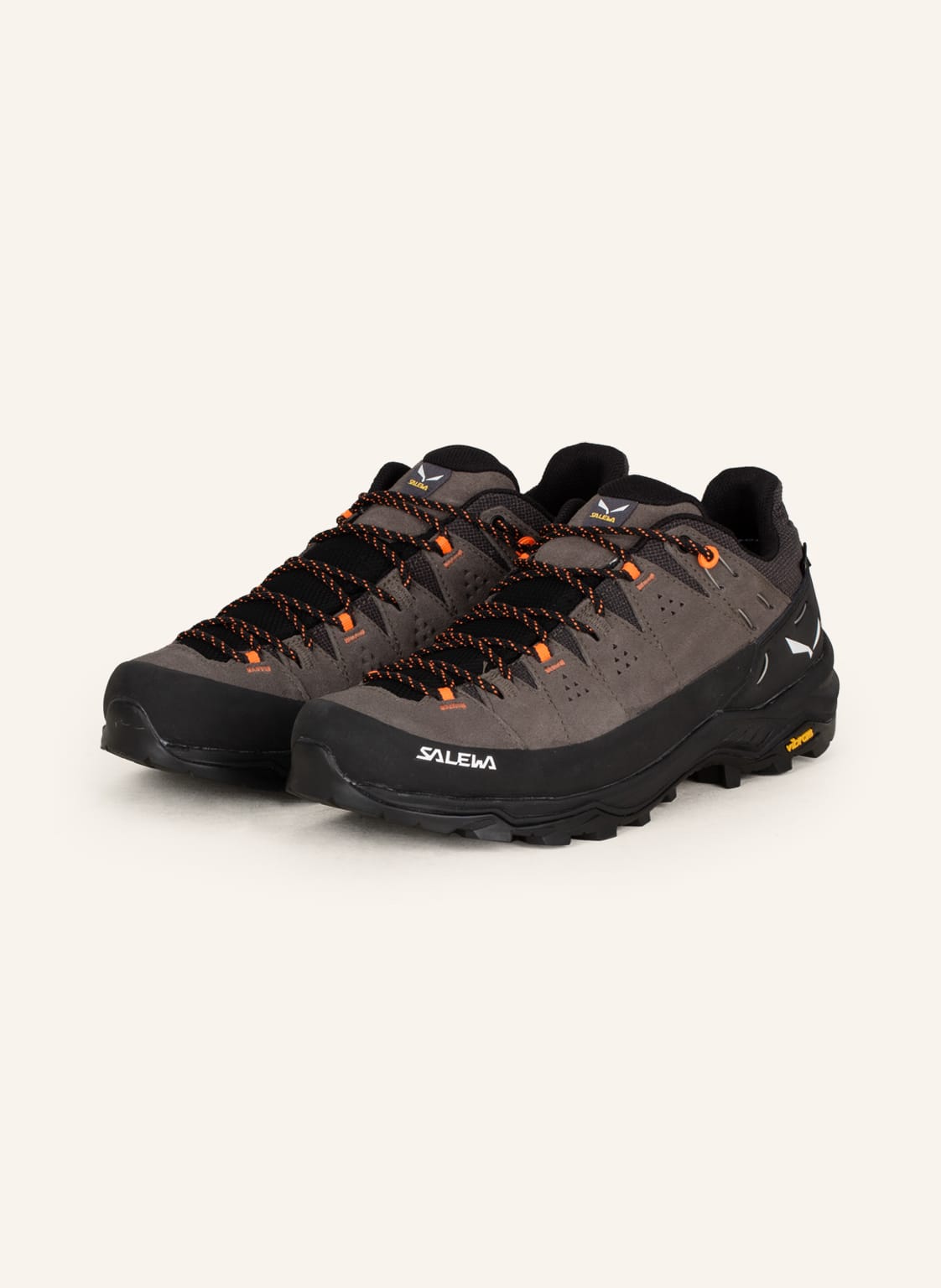 Salewa Wanderschuhe Alp Trainer 2 Gtx beige Salewa Wanderschuhe Alp Trainer 2 Gtx beige von Salewa
