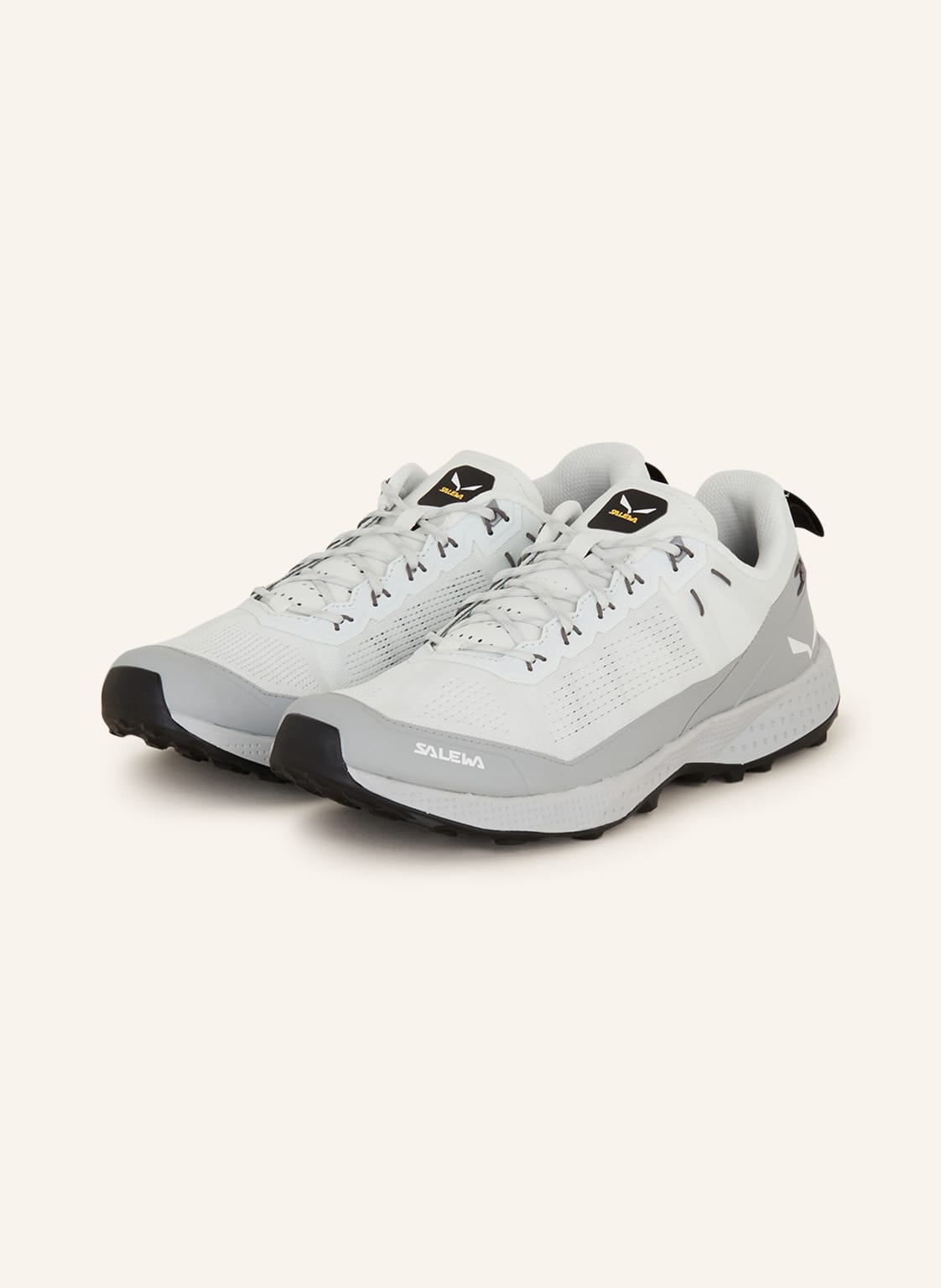 Salewa Multifunktionsschuhe Pedroc Air grau von Salewa