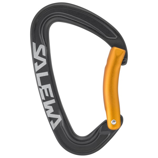 Salewa - Ortles Bent Carabiner - Schnappkarabiner grau Salewa - Ortles Bent Carabiner - Schnappkarabiner grau von Salewa