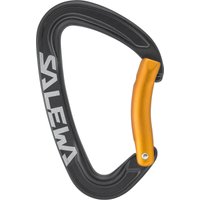 Salewa Ortles Bent Karabiner Salewa Ortles Bent Karabiner von Salewa