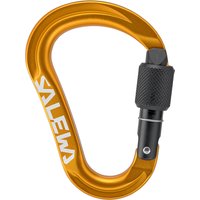 Salewa Ortles HMS S Karabiner von Salewa