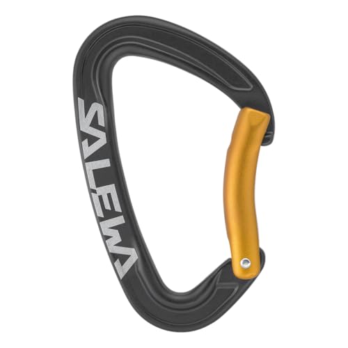 Salewa Ortles-Karabiner, Schwarz Salewa Ortles-Karabiner, Schwarz von Salewa