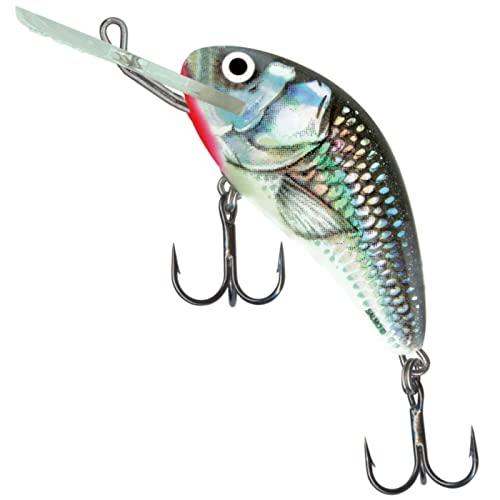 Salmo Hornet Wobbler, Salmo Farben:Holographic Grey Shiner, Länge/Gewicht/Laufverhalten/Tauchtiefe:6cm / 10g / schwimmend / 2.0-5.6m Salmo Hornet Wobbler, Salmo Farben:Holographic Grey Shiner, Länge/Gewicht/Laufverhalten/Tauchtiefe:6cm / 10g / schwimmend / 2.0-5.6m von Lew's