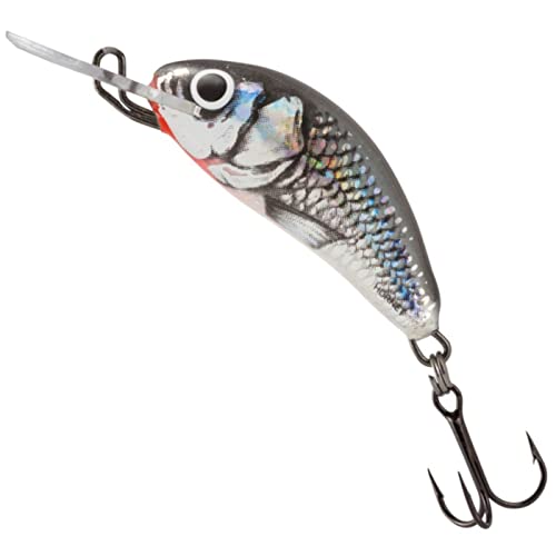 Salmo Hornet HOLOGRAPHIC GREY SHINER 35mm Floating Salmo Hornet HOLOGRAPHIC GREY SHINER 35mm Floating von Salmo