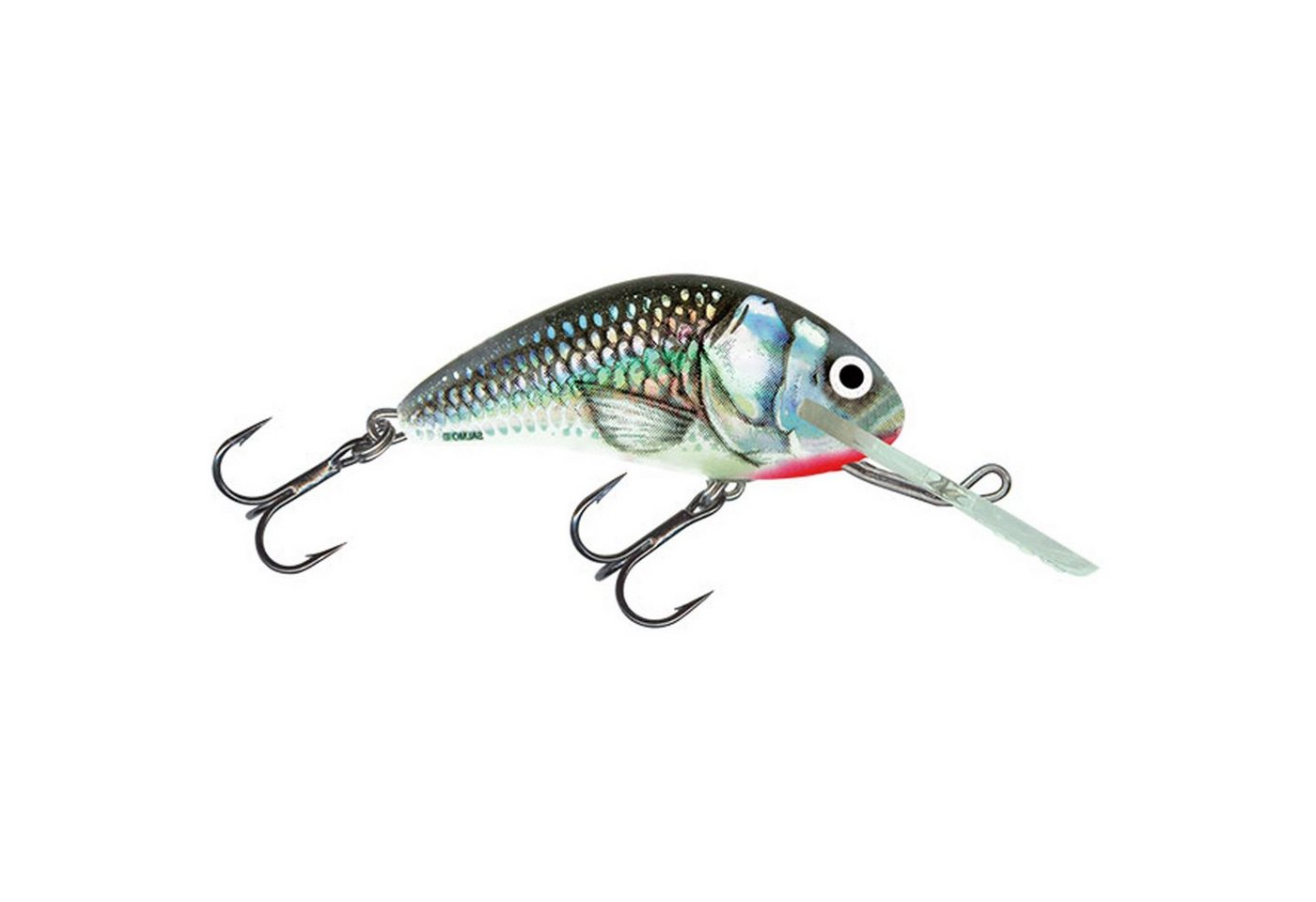 Salmo Kunstköder, Salmo Hornet Floating 5cm Holographic Grey Shiner Wobbler Salmo Kunstköder, Salmo Hornet Floating 5cm Holographic Grey Shiner Wobbler von Salmo