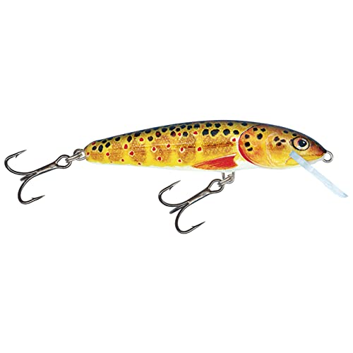Salmo Minnow Wobbler Köder für Hecht Zander Barsch Forelle Hechtköder Hechtwobbler Barschwobbler Forellenwobbler Salmo Trout 6cm / 4g / schwimmend / 0.5-1.0m Salmo Minnow Wobbler Köder für Hecht Zander Barsch Forelle Hechtköder Hechtwobbler Barschwobbler Forellenwobbler Salmo Trout 6cm / 4g / schwimmend / 0.5-1.0m von Salmo
