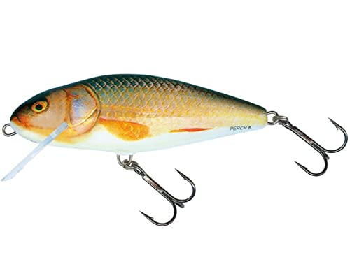 Salmo Perch Wobbler Jerkbaits für Hecht, Zander, Barsch, Hechtköder, Hechtwobbler, Forellenwobbler, Barschwobbler Real Roach 12cm / 36g / schwimmend / 2.0-4.0m Salmo Perch Wobbler Jerkbaits für Hecht, Zander, Barsch, Hechtköder, Hechtwobbler, Forellenwobbler, Barschwobbler Real Roach 12cm / 36g / schwimmend / 2.0-4.0m von Salmo