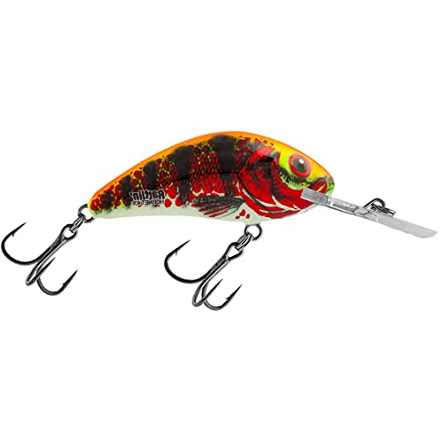 Salmo Rattlin Hornet Floating Wobbler, Salmo Farben:Holo Red Perch, Länge/Gewicht/Laufverhalten/Tauchtiefe:3.5cm / 3.1g / schwimmend / 1-1.8m von Salmo