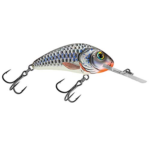 Salmo Rattlin Hornet Floating Wobbler Kunstköder Angelköder Farbe Silver Holo Shad, Größe schwimmend 3,5cm 3g Salmo Rattlin Hornet Floating Wobbler Kunstköder Angelköder Farbe Silver Holo Shad, Größe schwimmend 3,5cm 3g von Lew's