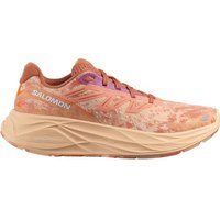 SALOMON Damen Laufschuhe SHOES AERO GLIDE 2 W Spirou/Peachq/Fsalm SALOMON Damen Laufschuhe SHOES AERO GLIDE 2 W Spirou/Peachq/Fsalm von Salomon