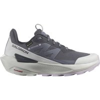 SALOMON Damen Multifunktionsschuhe SHOES ELIXIR ACTIV GTX W Indink/Glacgr/O von Salomon