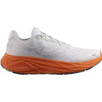 SALOMON Herren Laufschuhe SHOES AERO GLIDE 2 White/Chert/Electg von Salomon