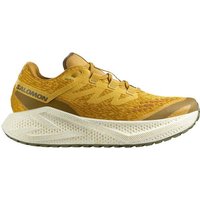 SALOMON Herren Laufschuhe SHOES AERO GLIDE 3 GRVL Spicym/Vanila/Dl SALOMON Herren Laufschuhe SHOES AERO GLIDE 3 GRVL Spicym/Vanila/Dl von Salomon