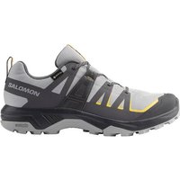 SALOMON Herren Multifunktionsschuhe SHOES EXTEND GTX Alloy/Asphalt/Spicym SALOMON Herren Multifunktionsschuhe SHOES EXTEND GTX Alloy/Asphalt/Spicym von Salomon