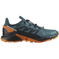 SALOMON Herren Trailrunningschuhe SHOES SUPERCROSS 4 GTX Stargazer/Black/T von Salomon