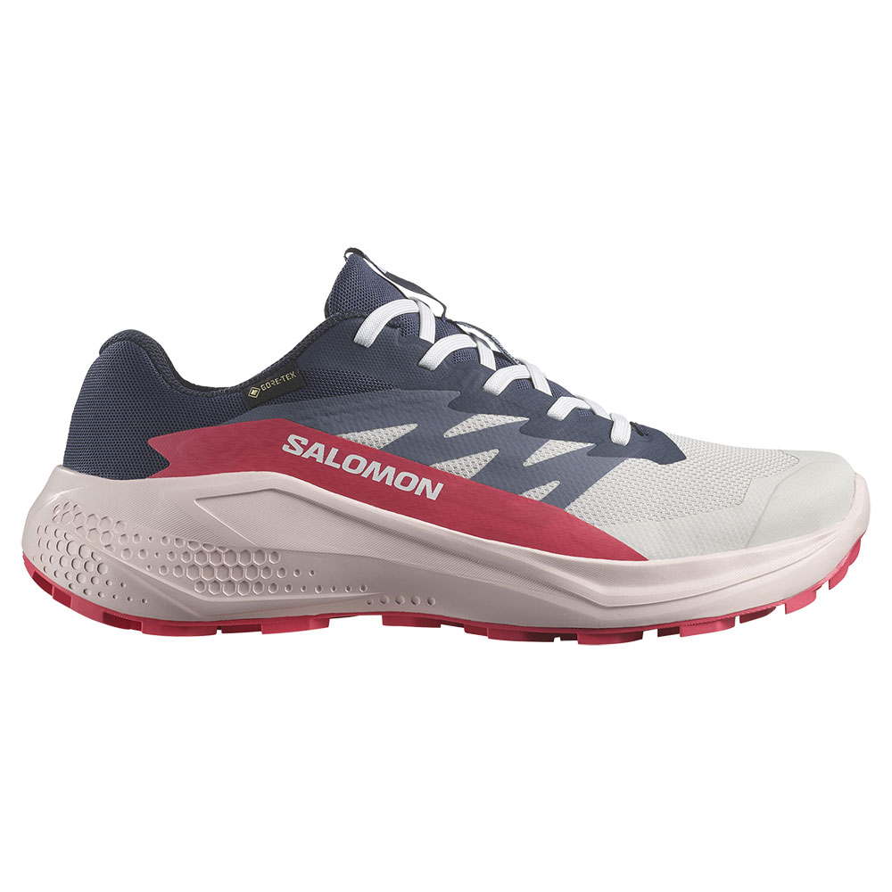 Salomon Alphaglide Goretex Trail Running Shoes Blau,Grau EU 42 Frau Salomon Alphaglide Goretex Trail Running Shoes Blau,Grau EU 42 Frau von Salomon