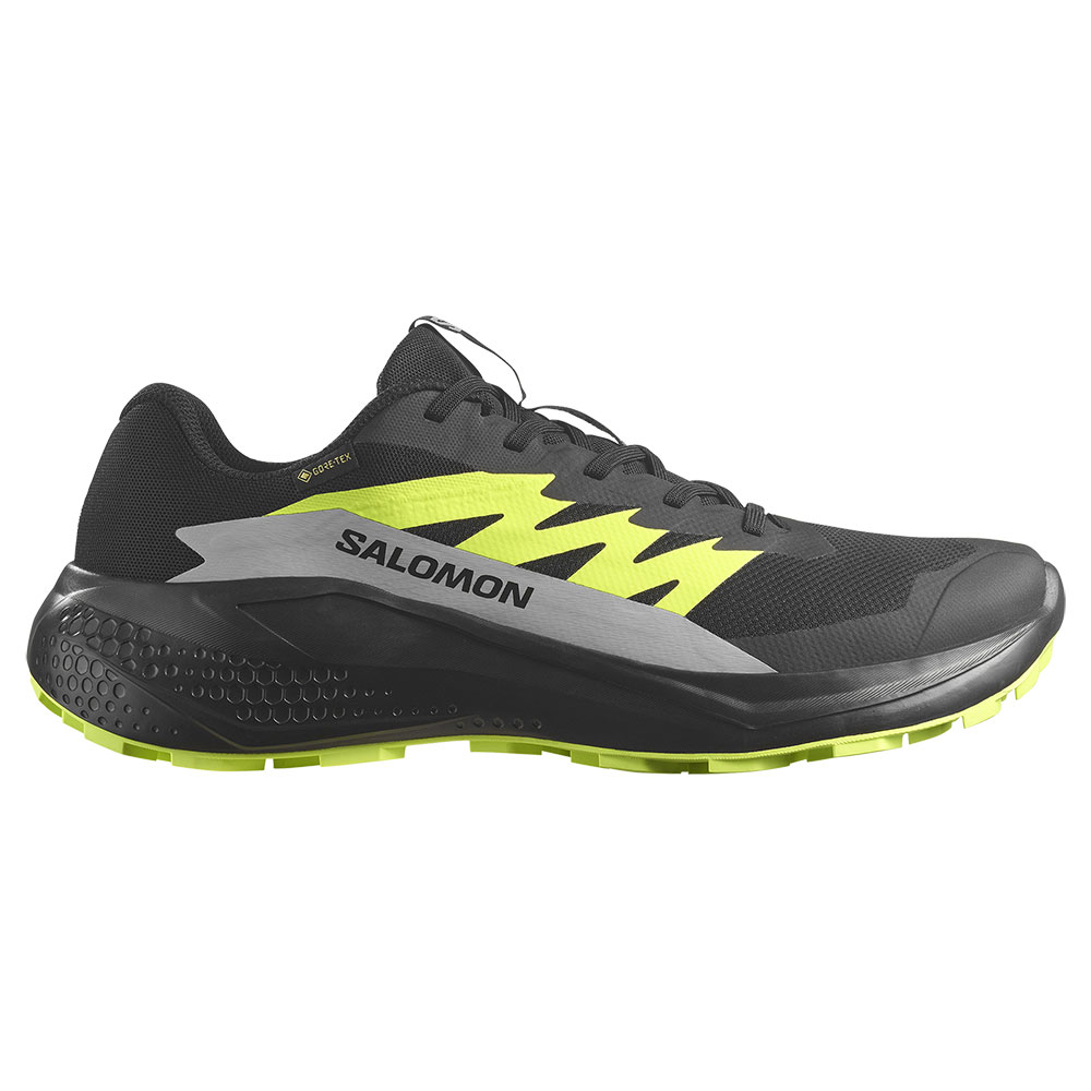 Salomon Alphaglide Goretex Trail Running Shoes Schwarz EU 48 Mann Salomon Alphaglide Goretex Trail Running Shoes Schwarz EU 48 Mann von Salomon