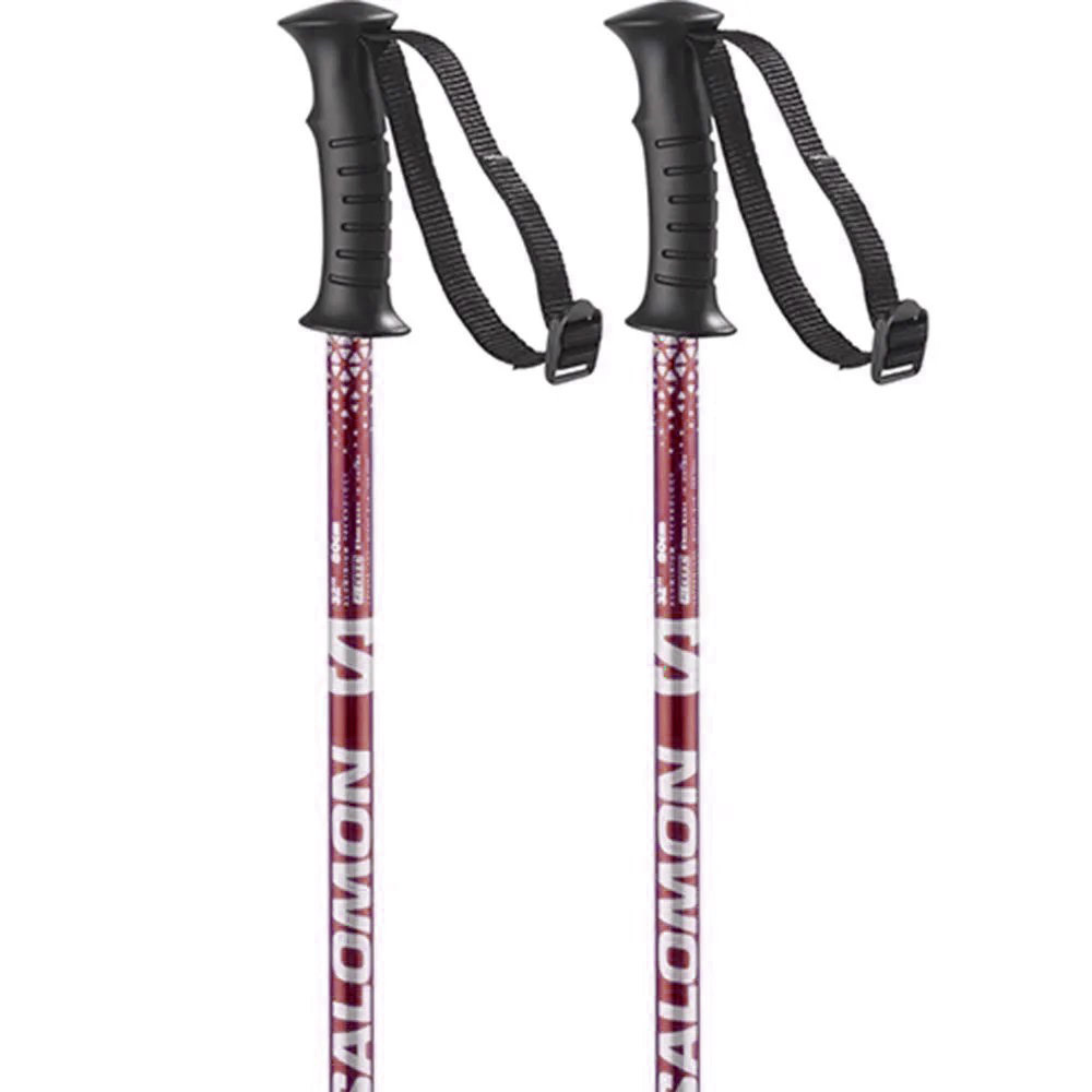 Salomon Anodized Junior Poles Grün 95 cm Salomon Anodized Junior Poles Grün 95 cm von Salomon