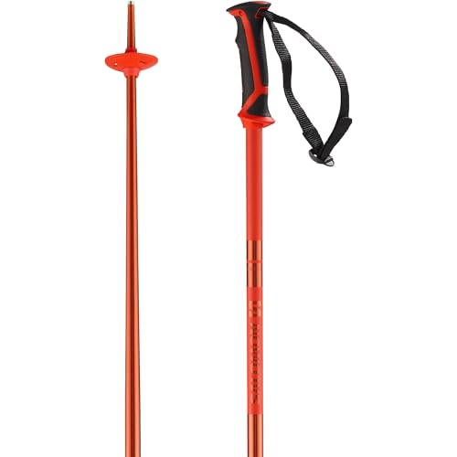 Salomon Arctic Unisex Skitourenstöcke 125cm von Salomon