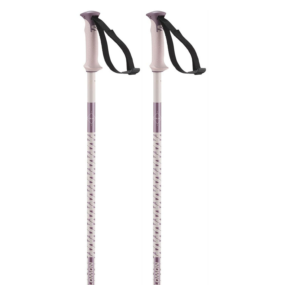 Salomon Polar Poles Silber 125 cm Salomon Polar Poles Silber 125 cm von Salomon