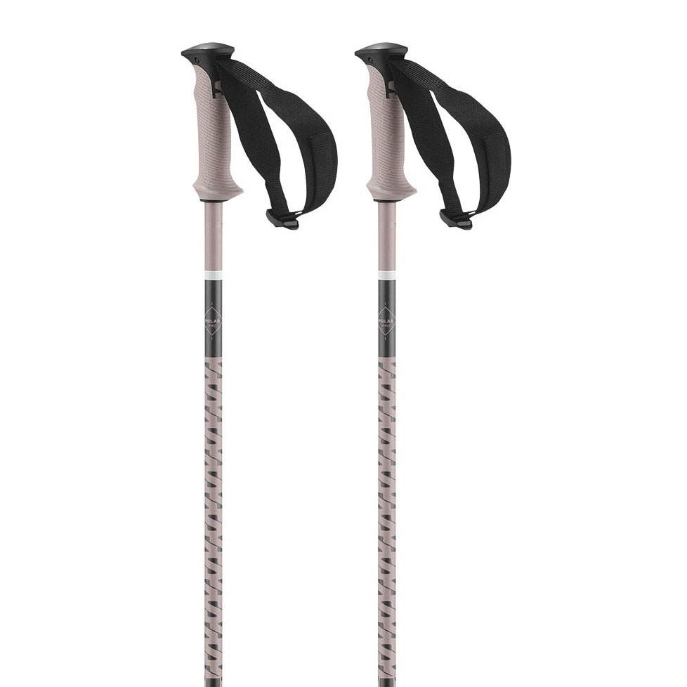 Salomon Polar Pro Poles Silber 135 cm Salomon Polar Pro Poles Silber 135 cm von Salomon