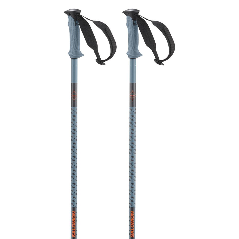 Salomon Polar Pro Poles Silber 110 cm Salomon Polar Pro Poles Silber 110 cm von Salomon