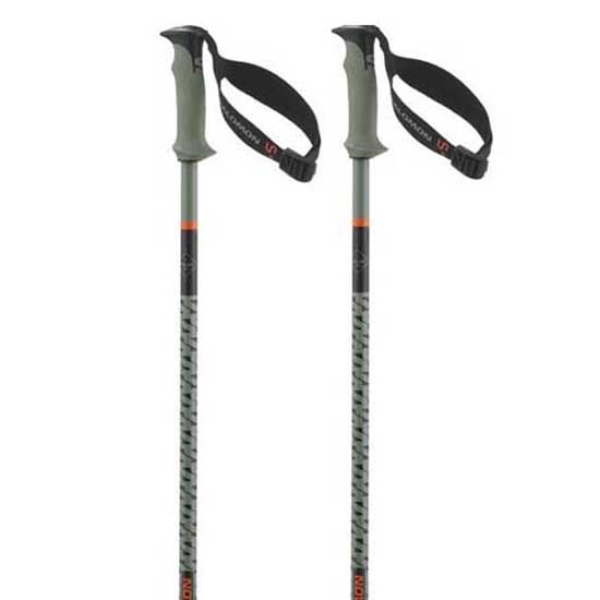 Salomon Polar Pro S3 Poles Silber 110 cm von Salomon