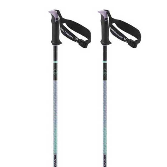 Salomon Polar Pro S3 Poles Silber 135 cm von Salomon