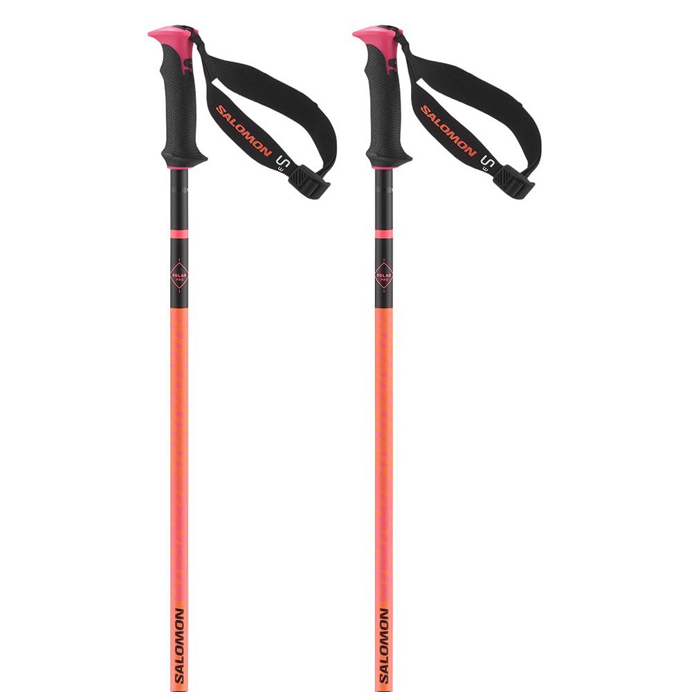 Salomon Polar Pro S3 Poles Silber 135 cm von Salomon