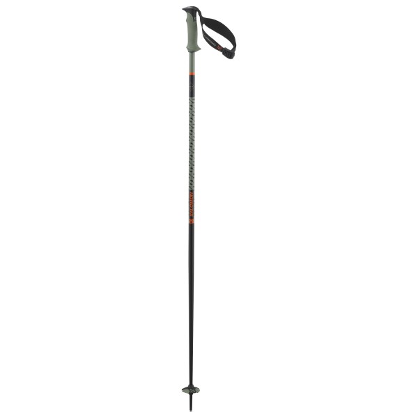 Salomon - Polar Pro S3 - Skistöcke Gr 110 cm grün Salomon - Polar Pro S3 - Skistöcke Gr 110 cm grün von Salomon