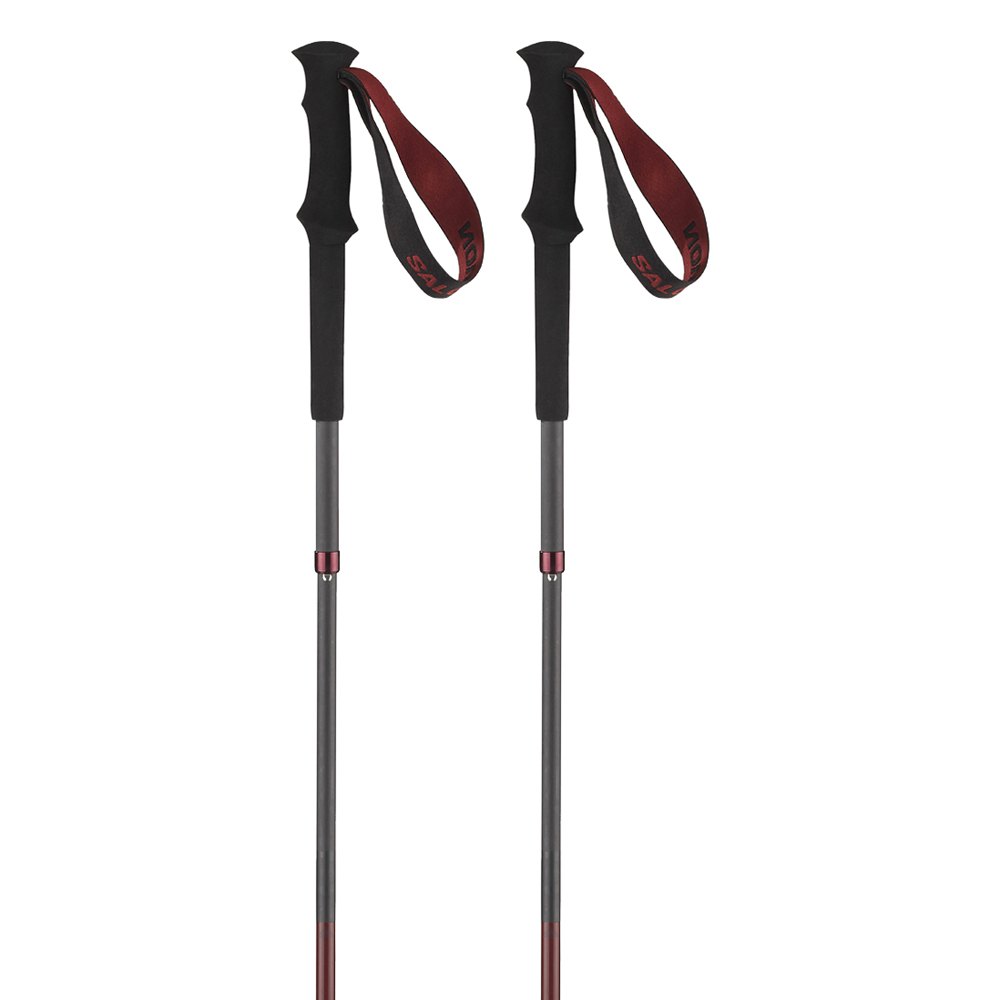 Salomon Quest Carbon Foldable Poles Silber 135 cm Salomon Quest Carbon Foldable Poles Silber 135 cm von Salomon