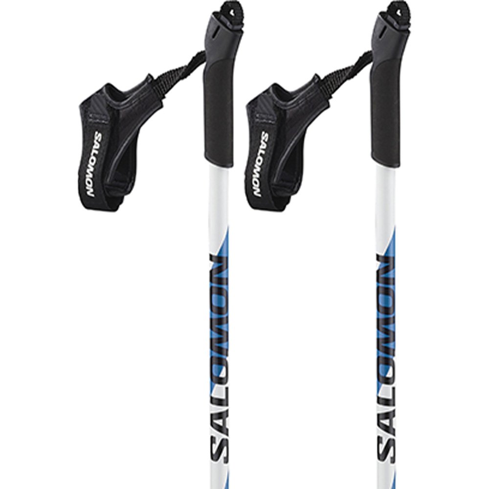 Salomon R 20 Junior Poles Silber 120 cm Salomon R 20 Junior Poles Silber 120 cm von Salomon