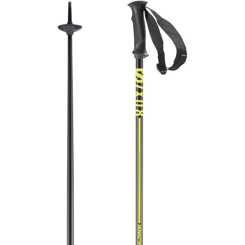 Salomon X 08 Unisex Skitourenstöcke 110cm Salomon X 08 Unisex Skitourenstöcke 110cm von Salomon