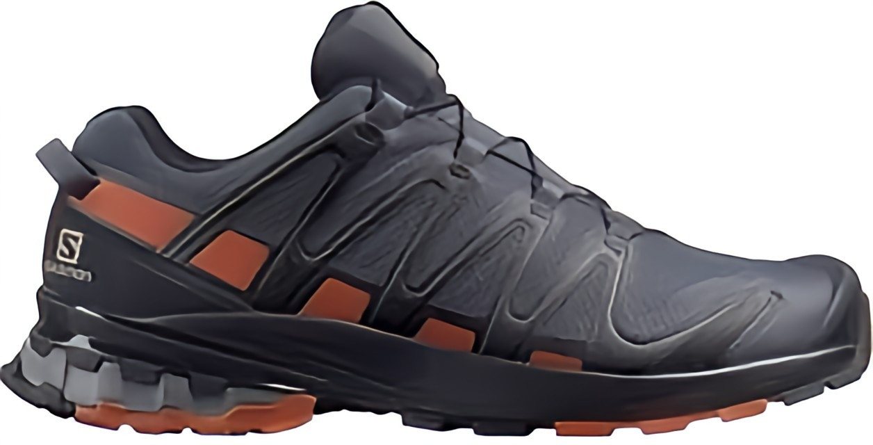 Salomon XA Pro 3D V8 GTX für Herren Outdoorschuh Salomon XA Pro 3D V8 GTX für Herren Outdoorschuh von Salomon