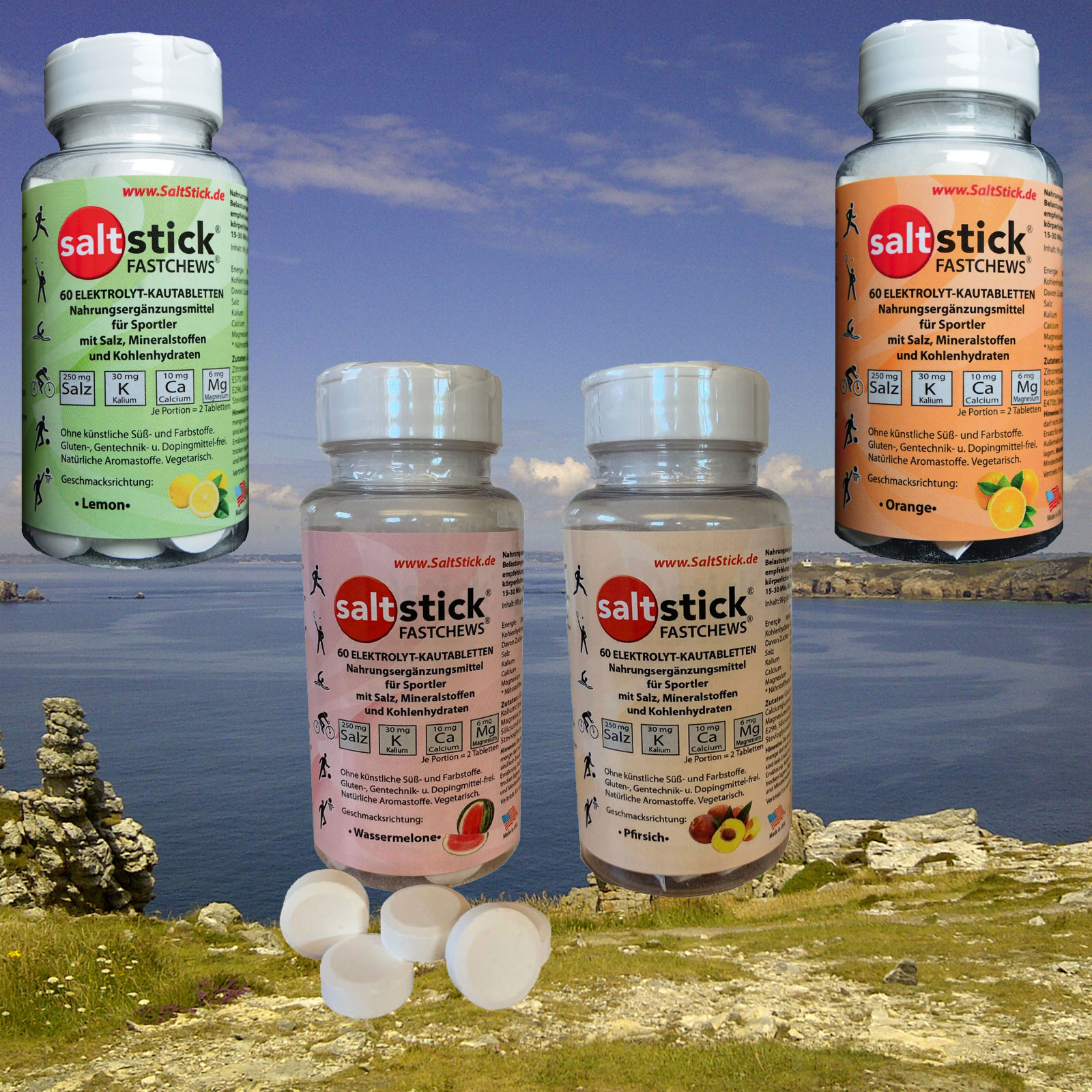 Saltstick FASTCHEWS Bottle Kautabletten verschieden Geschmacksrichtungen | SAFCB Saltstick FASTCHEWS Bottle Kautabletten verschieden Geschmacksrichtungen | SAFCB von Saltstick