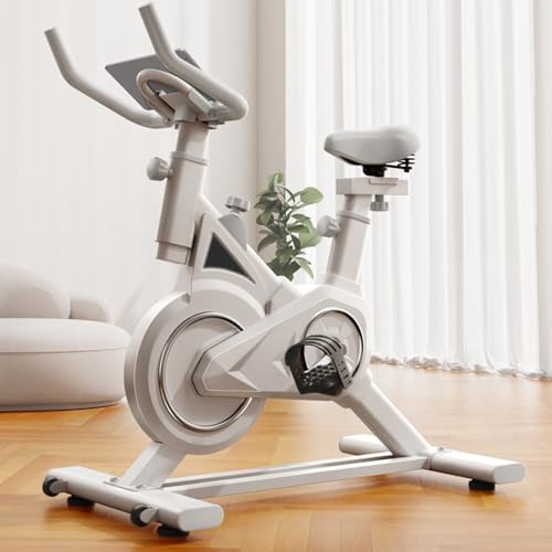 Saterkali Heimtrainer, stationäres Fahrrad, Trainingsgerät für Zuhause, Cardio, stationäres Fahrrad, Fitnessgerät, magnetisch, stationäres Fahrrad, aufrechtes Fitnessbike für Zuhause, Fitnessstudio, von Saterkali