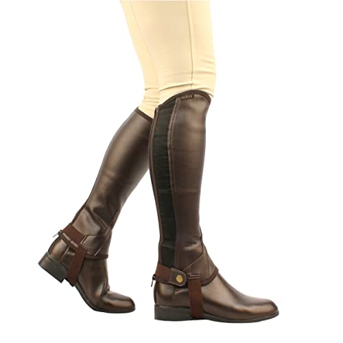Saxon Equileather Halbchaps Saxon Equileather Halbchaps von Saxon