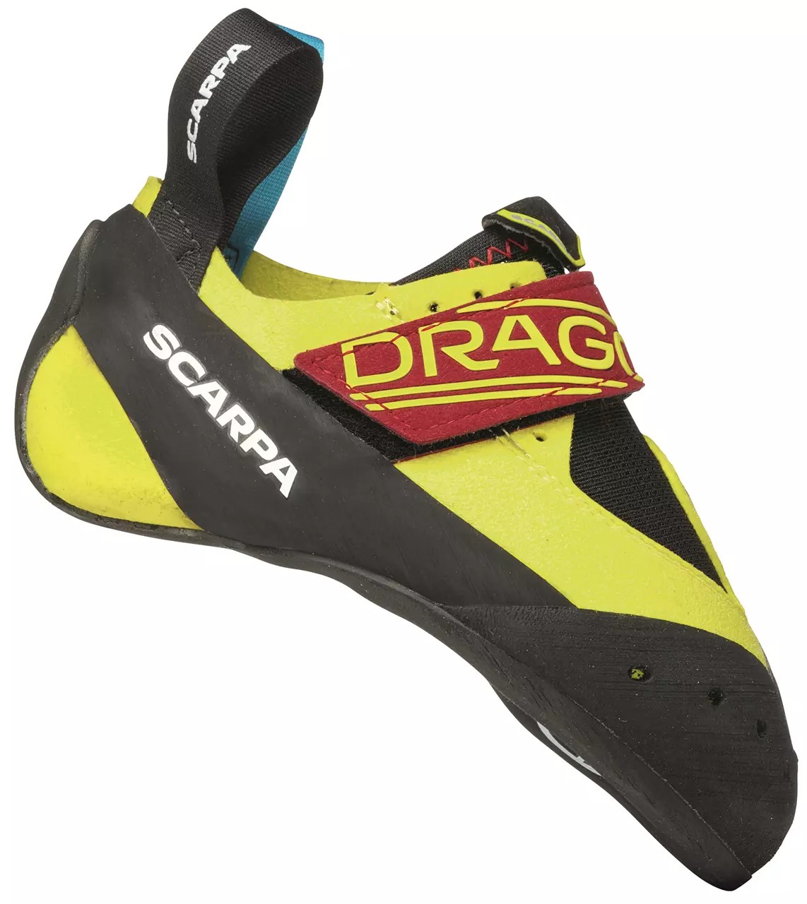 Drago Kid von Scarpa