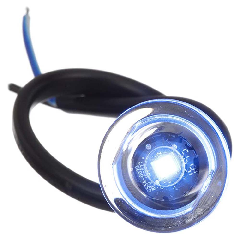 Seachoice Mini Livewell Led Light Schwarz Seachoice Mini Livewell Led Light Schwarz von Seachoice