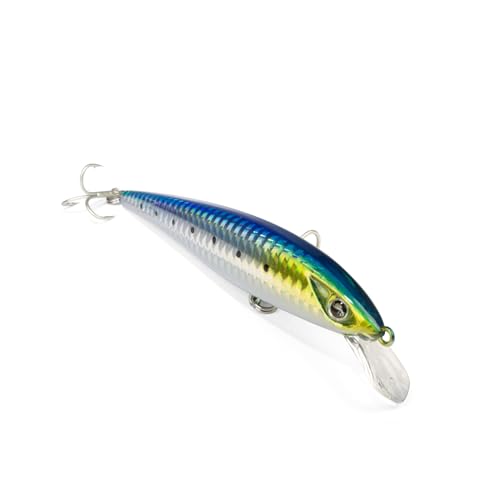 Eja 115 SF – Colore SAR – Jerk Minnow Galleggiante Eja 115 SF – Colore SAR – Jerk Minnow Galleggiante von Seaspin