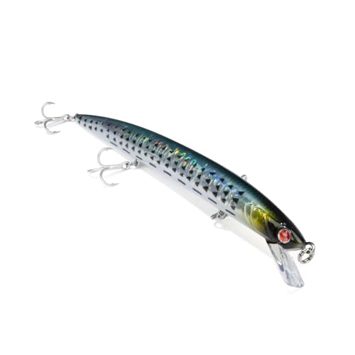 Mommotti 160 S – Farbe CEF Mommotti 160 S – Farbe CEF von Seaspin